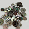 Abalone Shell/Paua Shell X-BSHE-I011-04A-5