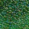 6/0 Inside Colours Fringe Glass Seed Beads SEED-A034-03G-3