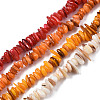 Natural Freshwater Shell Beads Strands SHEL-S278-071-1