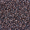 MIYUKI Delica Beads SEED-X0054-DB1706-3