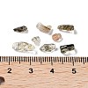 Natural Tourmaline Chips Beads G-M428-01B-3