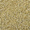 MIYUKI Delica Beads SEED-X0054-DB1212-3