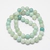 Round Natural Amazonite Bead Strands G-I183-02-12mm-3