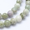 Natural Peace Jade Beads Strands G-I206-20-6mm-3