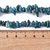 Natural Apatite Beads Strands X-G-F666-01B-02-01-5
