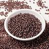 MIYUKI Round Rocailles Beads X-SEED-G008-RR0337-2