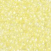 FGB Inside Colours Transparent Glass Seed Beads SEED-T009-01I-2
