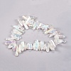 Electroplate Natural Quartz Crystal Bead Strands X-G-E468-B02-2