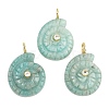 Natural Amazonite Pendants G-H353-02G-08-1