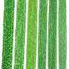 Electroplate Glass Beads Strands EGLA-A044-T1mm-A11-2