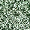 FGB 11/0 Grade A Glass Seed Beads X-SEED-S030-1217-2