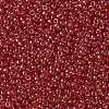 MIYUKI Round Rocailles Beads SEED-X0055-RR0166-3