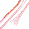 10 Skeins 6-Ply Polyester Embroidery Floss OCOR-K006-A31-3