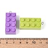Opaque Plastic Pendants KY-T043-01M-5