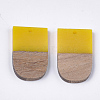 Resin & Walnut Wood Pendants X-RESI-S358-34G-2