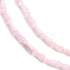 Natural Freshwater Shell Beads Strands SHEL-G013-02G-3