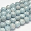 Round Natural Aquamarine Bead Strands G-F289-01-10mm-AA-1