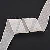 20 Yards Polyester Mesh Ribbon SRIB-P021-E05-1