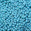 8/0 Baking Paint Glass Seed Beads SEED-M012-02A-46-3