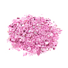 Natural Freshwater Shell Beads LS-X-BSHE-I011-03D-1