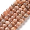 Round Natural Multi-Moonstone Beads Strands G-I176-09-10mm-1