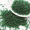 6/0 Transparent Glass Round Seed Beads X-SEED-J010-F6-37-1