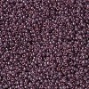 MIYUKI Round Rocailles Beads X-SEED-G007-RR2448-3