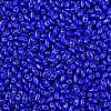 Baking Paint Glass Seed Beads SEED-T006-03-01-2