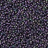 MIYUKI Round Rocailles Beads SEED-JP0008-RR2019-2