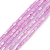 Natural Freshwater Shell Dyed Beads Strands SHEL-M018-12-08-1