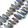 Electroplate Natural Quartz Crystal Beads Strands G-F800-B11-1