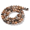 Natural Black Sunstone Beads Strands G-U009-A01-02-3