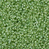 MIYUKI Round Rocailles Beads X-SEED-G007-RR0676-3