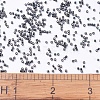 MIYUKI Delica Beads X-SEED-J020-DB0606-4