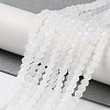 Transparent Glass Beads Strands LS-EGLA-A044-T1mm-MB19-2