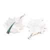 Natural Paua Shell & White Shell Pendants KK-C135-03P-2