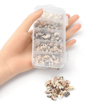 5 Styles Mixed Natural Shell Beads SSHEL-YW0001-03-1