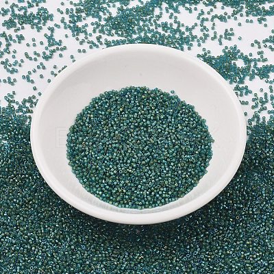 MIYUKI Delica Beads SEED-J020-DB2381-1