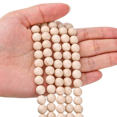 Natural Fossil Beads Strands X-G-E110-8mm-2-1