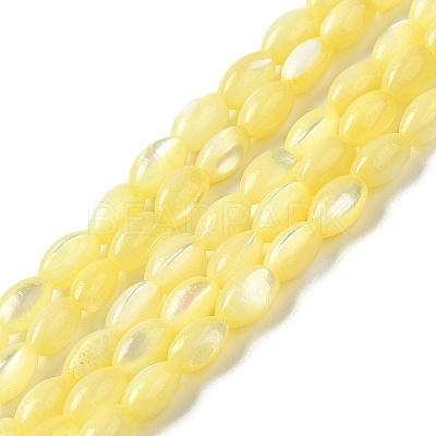 Natural Trochus Shell Beads Strands SHEL-K006-19C-1