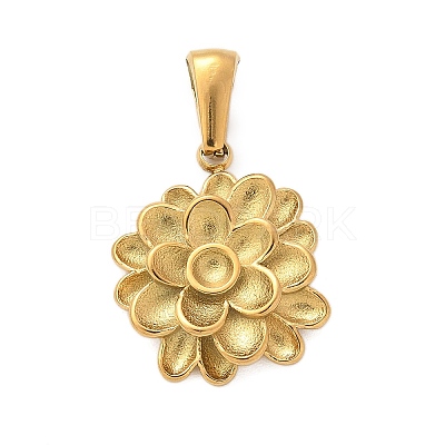 304 Stainless Steel Pendants STAS-Q349-01G-G-1