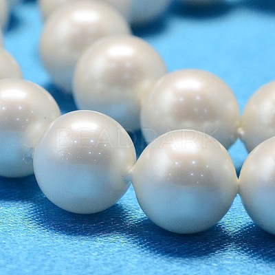 Round Shell Pearl Bead Strands X-BSHE-L011-8mm-A013A-1