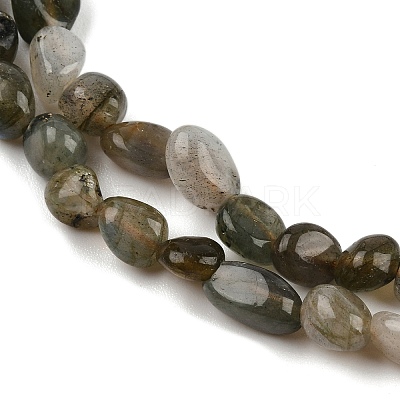 Natural Labradorite Beads Strands G-C250-03-1