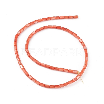 Natural Freshwater Shell Dyed Beads Strands SHEL-M018-12-02-1