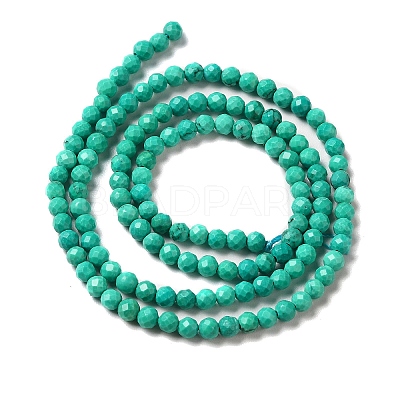 Natural Howlite Beads Strands G-C025-02B-02-1