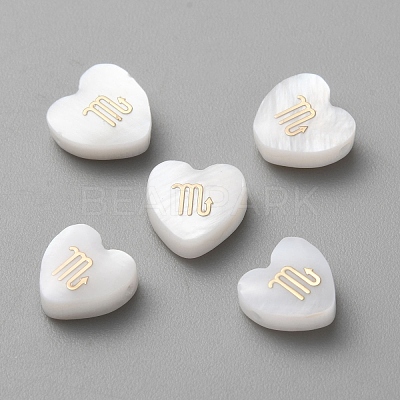 5Pcs Natural White Shell Beads LS-BSHE-TAC0004-02J-1