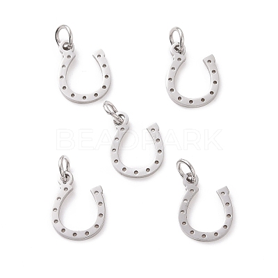 Tarnish Resistant 304 Stainless Steel Charms LS-STAS-S105-T519S-1