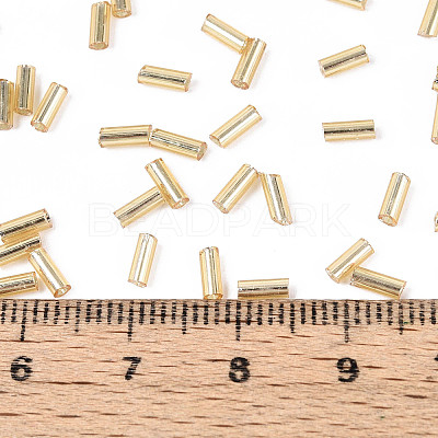 Glass Bugle Beads SEED-R011-22-1