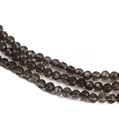 Natural Smoky Quartz Beads Strands X-G-P553-G05-01-1