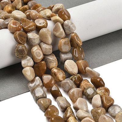 Natural Fossil Coral Beads Strands G-P497-01E-36-1